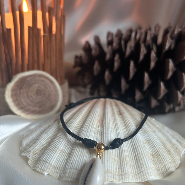 Vagues d'Eté - Coquillage