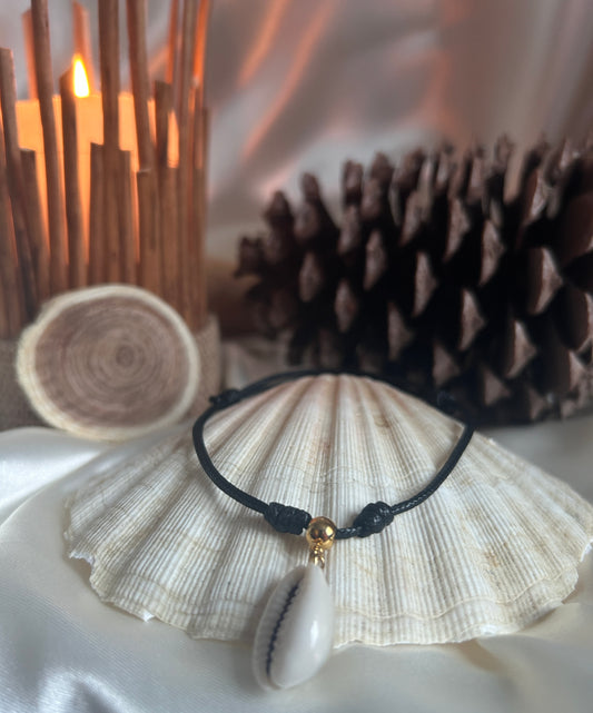Vagues d'Eté - Coquillage
