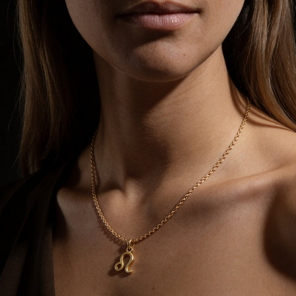 Collier Lion – Confiance, Charisme & Rayonnement