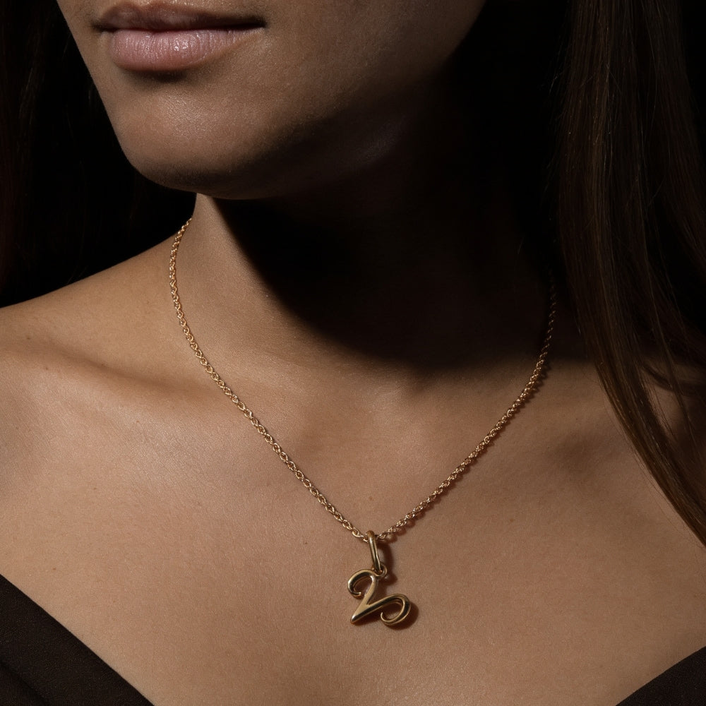 Collier Bélier – Énergie, Force & Audace