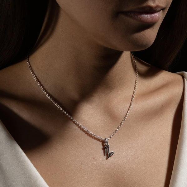 Collier Capricorne – Ambition, Discipline & Réussite