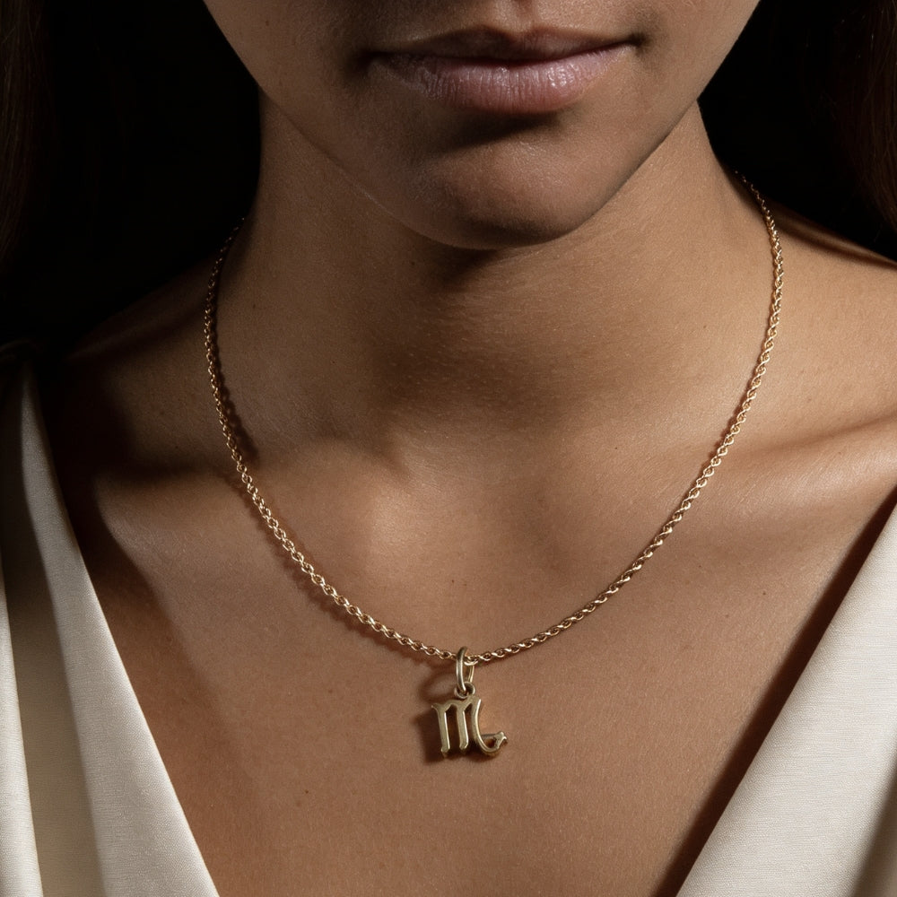 Collier Scorpion – Intensité, Transformation & Puissance